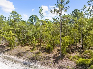 Build your dream home on this 0.46-acre vacant lot in Weeki - photo 7