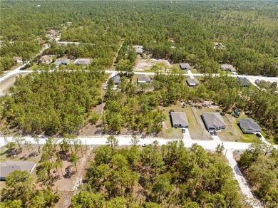 Build your dream home on this 0.46-acre vacant lot in Weeki - photo 8