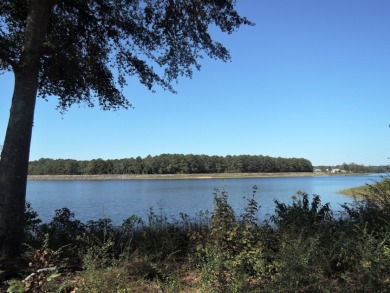Lake Lot For Sale in Cullman, Alabama