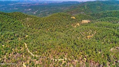 The Senator mine is an inactive gold mine located in the - photo 12