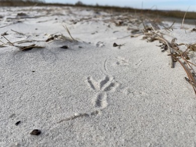 Live the coastal lifestyle you've been dreaming of with this 3 - photo 13