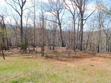 Beautiful maintained one level Brick Home on 5.50 in Elon that - photo 16