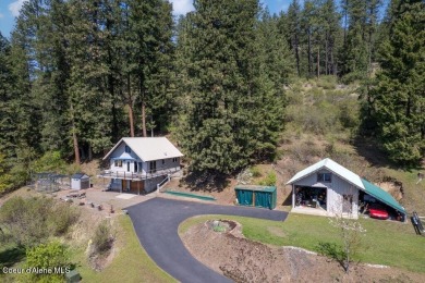 Lake Home For Sale in Hope, Idaho