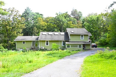 Dewitt Lake Home Sale Pending in Kingston New York