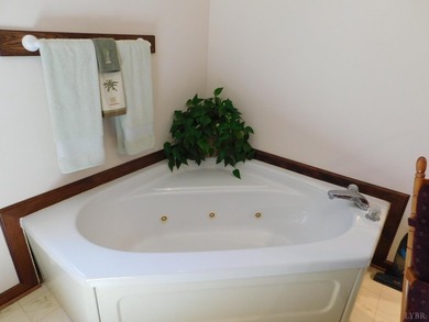 Beautiful maintained one level Brick Home on 5.50 in Elon that - photo 40