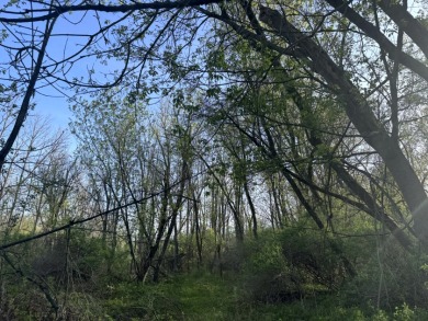 Meadows & Woods Along Keshequa Creek - photo 19