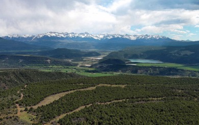 Lake Acreage For Sale in Ridgway, Colorado