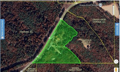 Historic Carnegie Estate, Development Opportunity, Beaver Lake - photo 4