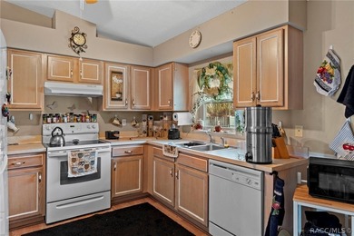 Great 3 Bedroom block home in nice area of Homosassa. Perfect - photo 10