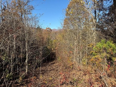 Valley River Lot For Sale in Marble North Carolina