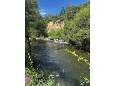 (private lake, pond, creek) Acreage For Sale in Whitmore California