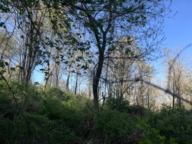 Meadows & Woods Along Keshequa Creek - photo 17