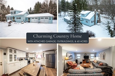 (private lake, pond, coastal) Home For Sale in New Berlin New York