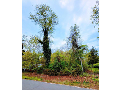 (private lake, pond, coastal) Lot Sale Pending in Cutchogue New York