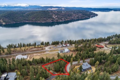 Lake Acreage For Sale in Harrison, Idaho