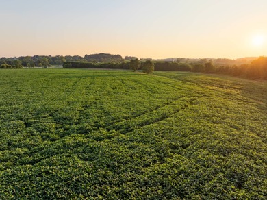 This 108 +/- acre property in Muskingum County, Ohio has so much - photo 6
