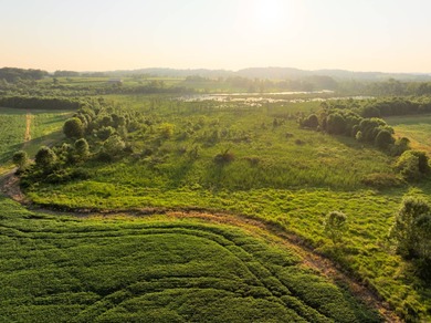 This 108 +/- acre property in Muskingum County, Ohio has so much - photo 9