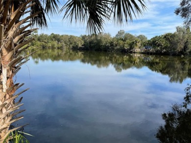 (private lake, pond, creek) Lot For Sale in Punta Gorda Florida