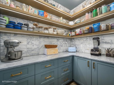 451 E Grand Ave 6111 - photo 19