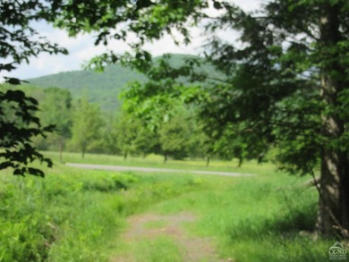 (private lake, pond, coastal) Acreage For Sale in Lexington New York