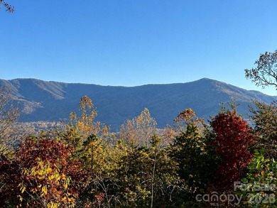 [Video Tour Available on Zillow under 'Facts & Features' - 'Show - photo 37
