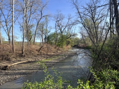 Meadows & Woods Along Keshequa Creek - photo 11