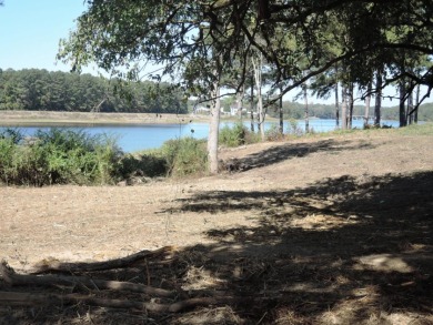GENTLE SLOPING LAKE LOT! - photo 13