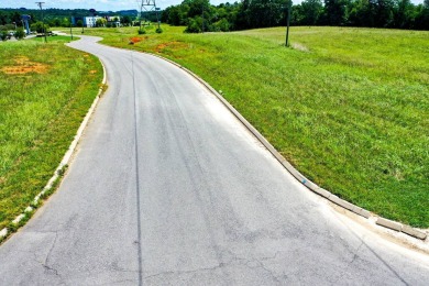 Douglas Lake Commercial For Sale in Dandridge Tennessee