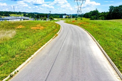 Prime 9.72-Acre Commercial Lot - I-40 Exit 417, Dandridge, TN - photo 3