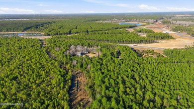 Heavily wooded 5.54 acre lot near military cutoff and I 140 - photo 3