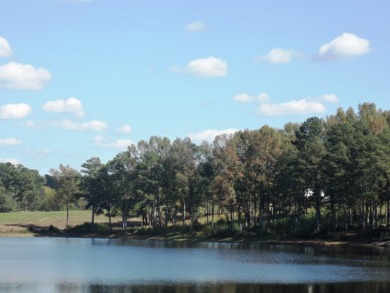GENTLE SLOPING LAKE LOT! - photo 4