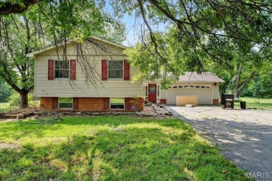 Lake Home For Sale in Wentzville, Missouri