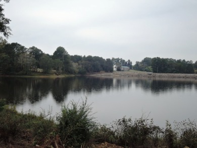 GENTLE SLOPING LAKE LOT! - photo 12