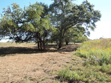 GENTLE SLOPING LAKE LOT! - photo 7