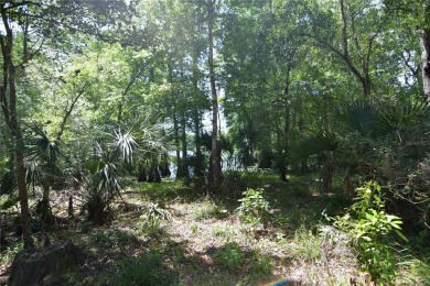 Withlacoochee River - Sumter County Lot For Sale in Bushnell Florida