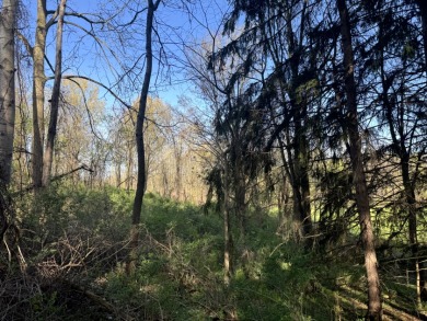 Meadows & Woods Along Keshequa Creek - photo 10