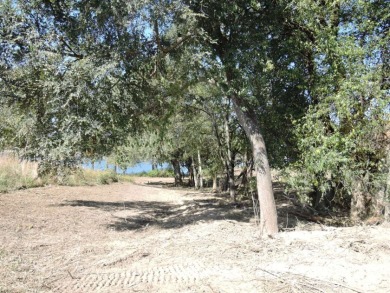 GENTLE SLOPING LAKE LOT! - photo 11