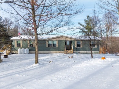 Lake Home For Sale in Hammondsport, New York