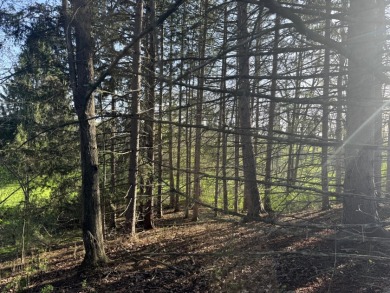 Meadows & Woods Along Keshequa Creek - photo 7