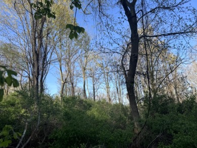 Meadows & Woods Along Keshequa Creek - photo 14
