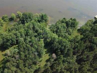 Prime Castle Rock Lake Waterfront, 171' of Frontage, priced $35 - photo 12