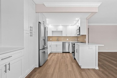 Brand New & pristine 2 bedroom and full 2 bath unit. Located in - photo 5