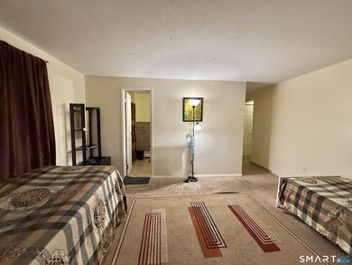 Spacious two-bedroom, two-bath condominium in a great location - photo 19