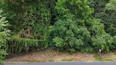 (private lake, pond, coastal) Lot For Sale in Kingston New York