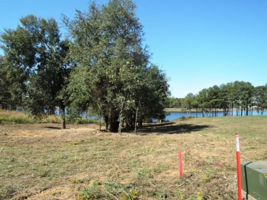 GENTLE SLOPING LAKE LOT! - photo 10