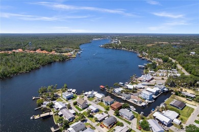 This Vacation Paradise Home on the Nature Coast is calling your - photo 4