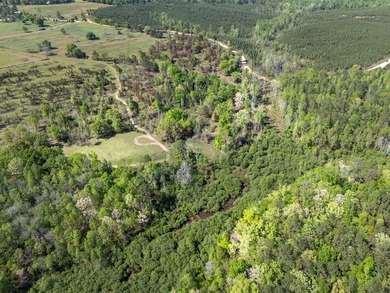 Discover an extraordinary 500 +/- acres of prime land, perfect - photo 35
