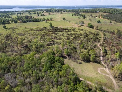 Discover an extraordinary 500 +/- acres of prime land, perfect - photo 36