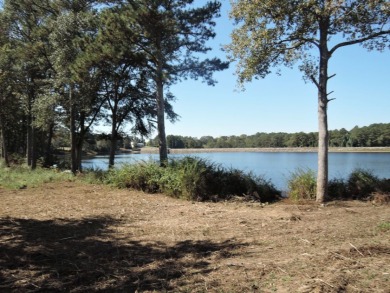 GENTLE SLOPING LAKE LOT! - photo 6