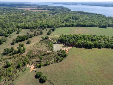 Discover an extraordinary 500 +/- acres of prime land, perfect - photo 45
